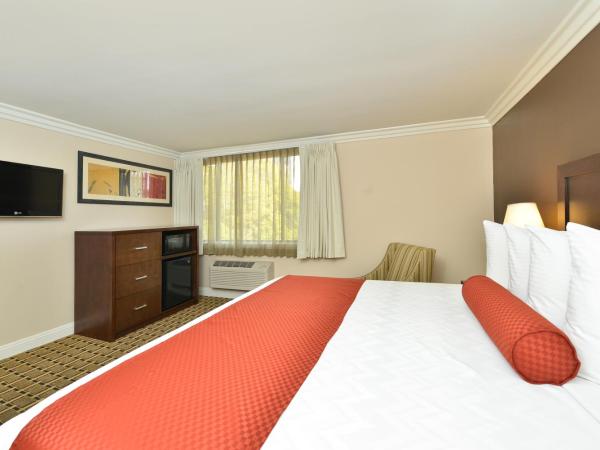 Best Western Plus LA Mid-Town Hotel : photo 3 de la chambre chambre lit king-size - non-fumeurs
