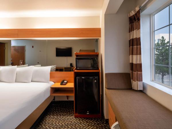 Microtel Inn & Suites by Wyndham Salt Lake City Airport : photo 4 de la chambre chambre lit queen-size pour personnes à mobilité réduite - non-fumeurs 