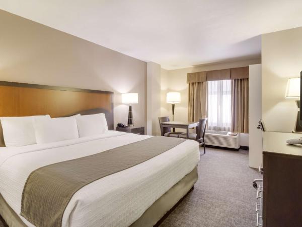 SureStay Plus Hotel by Best Western Houston Medical Center : photo 1 de la chambre chambre lit king-size