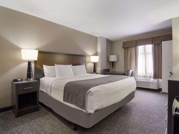 SureStay Plus Hotel by Best Western Houston Medical Center : photo 1 de la chambre chambre lit king-size avec douche accessible en fauteuil roulant - adaptée aux personnes à mobilité réduite