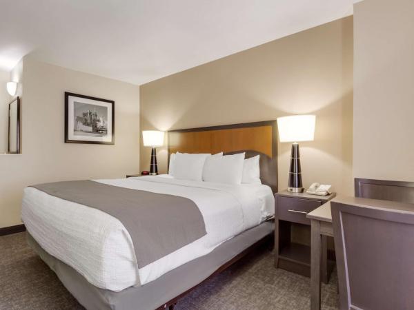 SureStay Plus Hotel by Best Western Houston Medical Center : photo 4 de la chambre chambre lit king-size avec douche accessible en fauteuil roulant - adaptée aux personnes à mobilité réduite