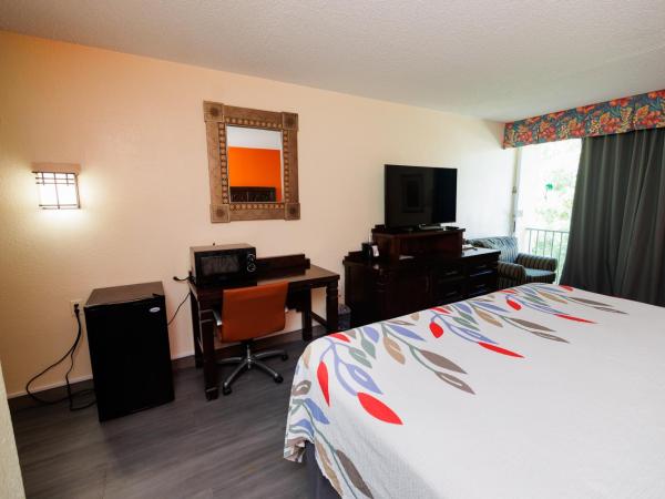Garnet Inn & Suites, Orlando : photo 6 de la chambre chambre lit queen-size