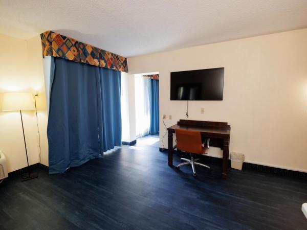 Garnet Inn & Suites, Orlando : photo 8 de la chambre suite lit king-size