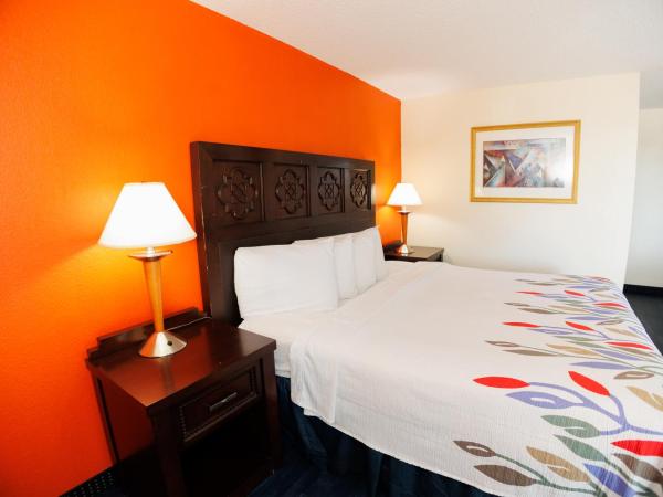 Garnet Inn & Suites, Orlando : photo 2 de la chambre suite lit king-size