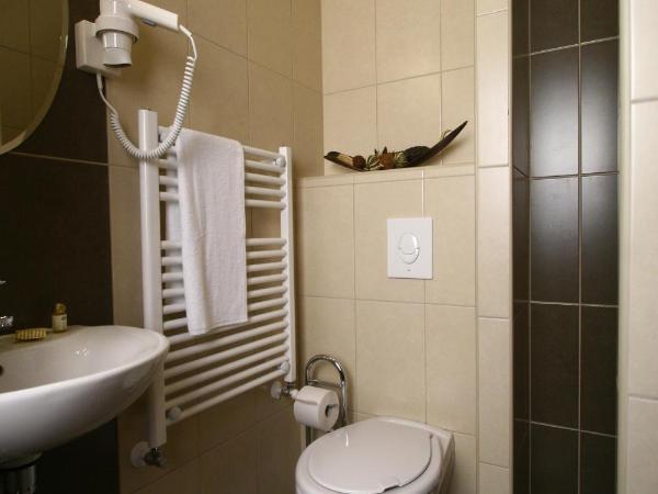 Central Hotel 21 and Apartments : photo 6 de la chambre chambre double - vue sur jardin