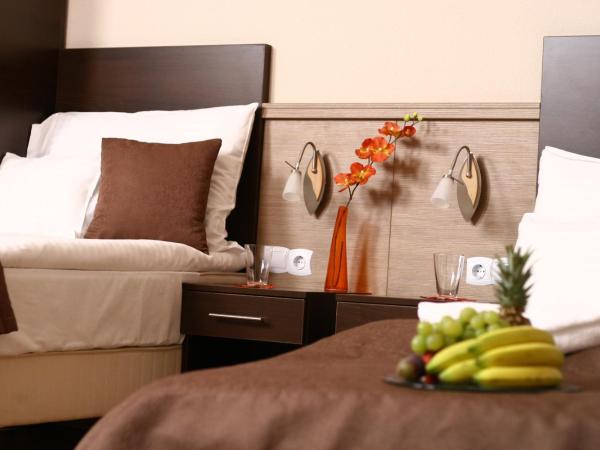 Central Hotel 21 and Apartments : photo 2 de la chambre chambre lits jumeaux standard