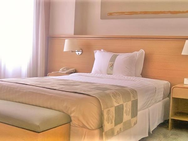 Holiday Inn Parque Anhembi, an IHG Hotel : photo 1 de la chambre chambre double standard - accessible aux personnes à mobilité réduite