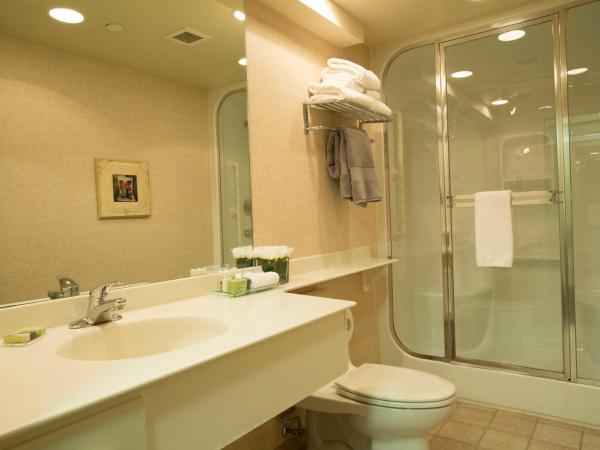 Royal Hotel West Edmonton, Trademark Collection by Wyndham : photo 7 de la chambre chambre lit king-size club supérieure - non-fumeurs