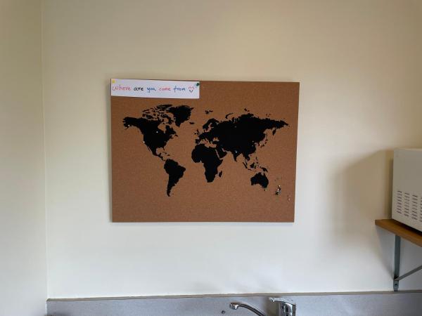 Central Park Motor Lodge : photo 1 de la chambre studio standard