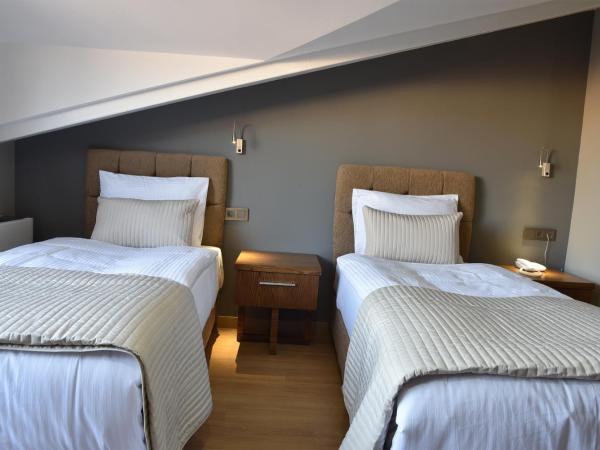 The Elegant Hotel : photo 4 de la chambre chambre double avec balcon