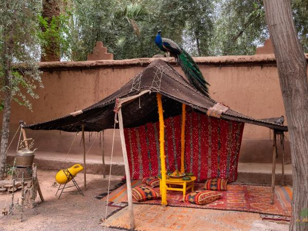 Ecolodge La Palmeraie : photo 7 de la chambre tente