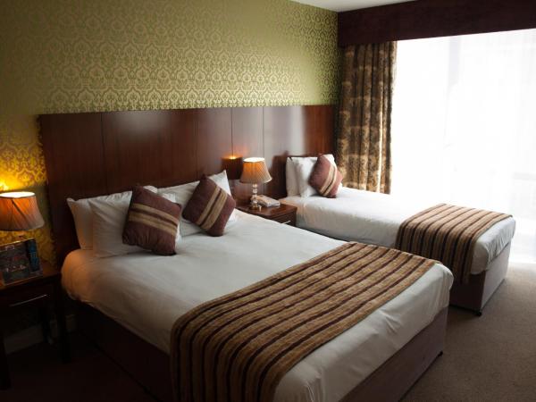 George Limerick Hotel : photo 6 de la chambre chambre triple