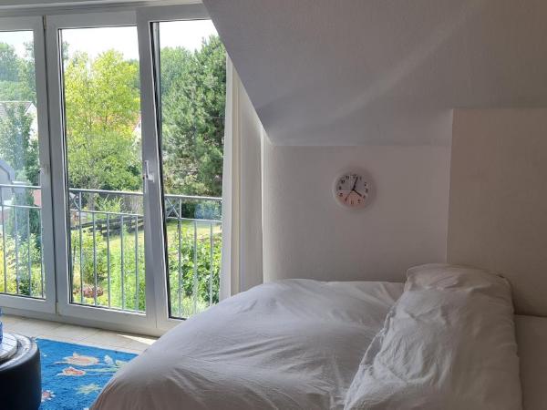 Schönste Lage am Rhein in unmittelbarer Stadtnähe, B & B : photo 3 de la chambre chambre double - vue sur jardin