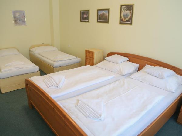 Sport Hotel Gejzirpark : photo 5 de la chambre appartement