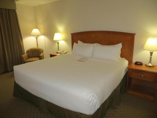 Ramada by Wyndham Edmonton South : photo 2 de la chambre chambre lit king-size affaires
