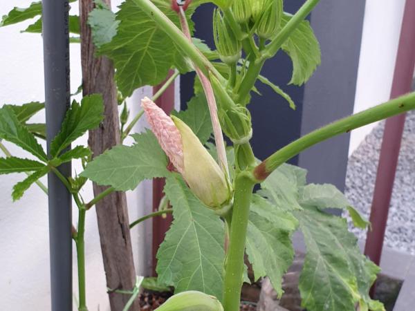 Urban Space : photo 3 de la chambre maison 6 chambres