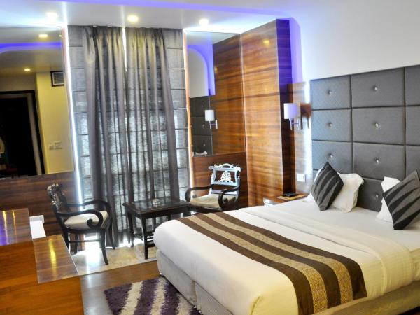 HOTEL DELHI 55 @ NEW DELHI RAILWAY STATION : photo 5 de la chambre chambre double deluxe