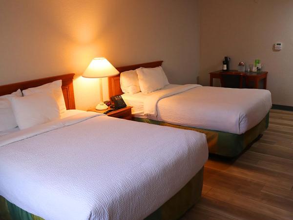 La Quinta Inn by Wyndham Columbus Airport Area : photo 9 de la chambre chambre double de luxe avec 2 lits doubles 