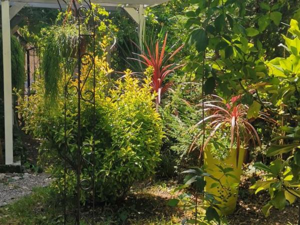 Hotel Régina : photo 1 de la chambre maison de vacances