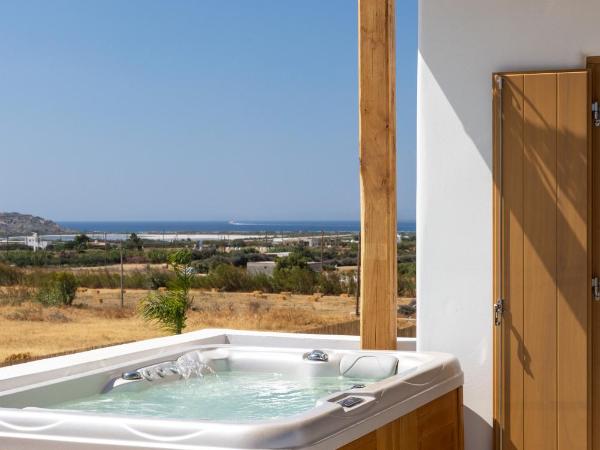 Cocopalm Villas Naxos : photo 8 de la chambre villa 2 chambres avec piscine privée et bain à remous