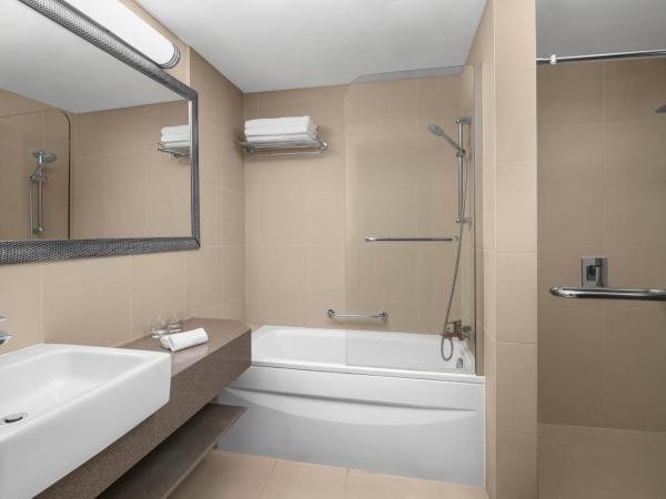 Adagio Premium Dubai Al Barsha : photo 6 de la chambre appartement 4 chambres