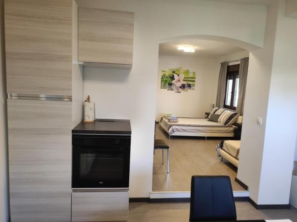 Viktor rooms and apartments : photo 6 de la chambre studio triple standard