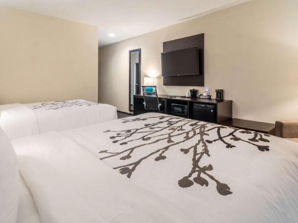 Sleep Inn Dallas Northwest - Irving : photo 4 de la chambre chambre quadruple avec 2 lits queen-size et baignoire - accessible aux personnes à mobilité réduite - non-fumeurs