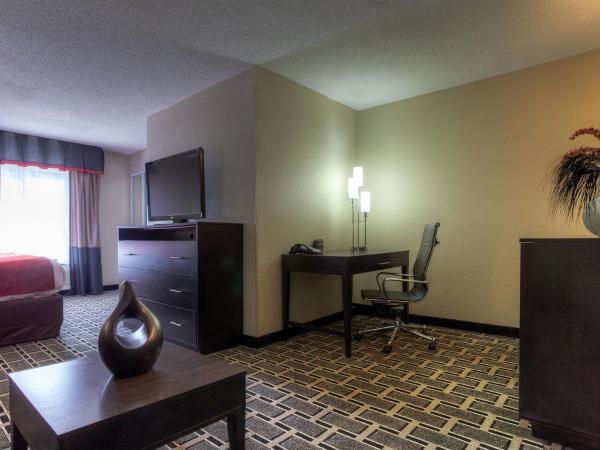 Comfort Suites Nashville Airport - BNA : photo 3 de la chambre suite lit king-size - non-fumeurs
