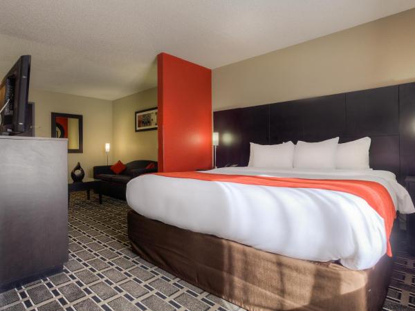 Comfort Suites Nashville Airport - BNA : photo 2 de la chambre suite lit king-size - non-fumeurs