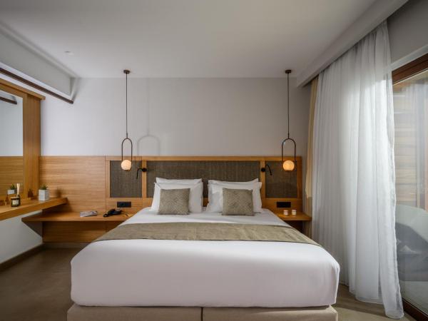 Stella Palace Aqua Park Resort : photo 5 de la chambre chambre deluxe avec accès à la piscine