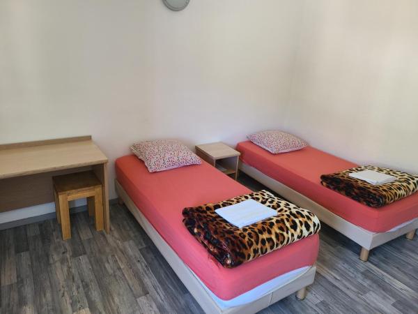 Hotel de la Gare : photo 1 de la chambre chambre lits jumeaux avec salle de bains commune