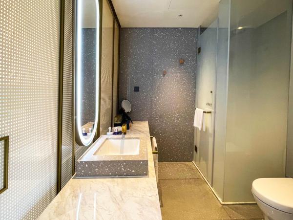 voco Nanjing Garden Expo, an IHG Hotel : photo 3 de la chambre chambre lit king-size standard avec vue sur cour