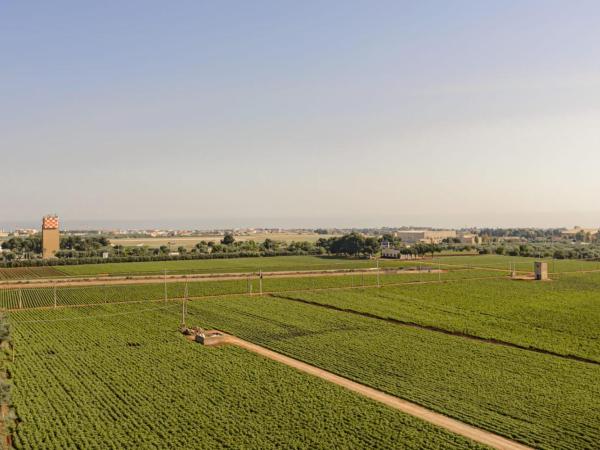 Airport bari-palese LUXURY 1 : photo 6 de la chambre chambre double