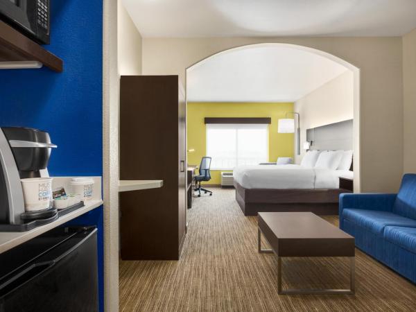 Holiday Inn Express Hotel & Suites San Antonio NW-Medical Area, an IHG Hotel : photo 1 de la chambre suite 1 chambre lit king-size