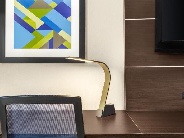 Holiday Inn Express Hotel & Suites San Antonio NW-Medical Area, an IHG Hotel : photo 5 de la chambre chambre standard