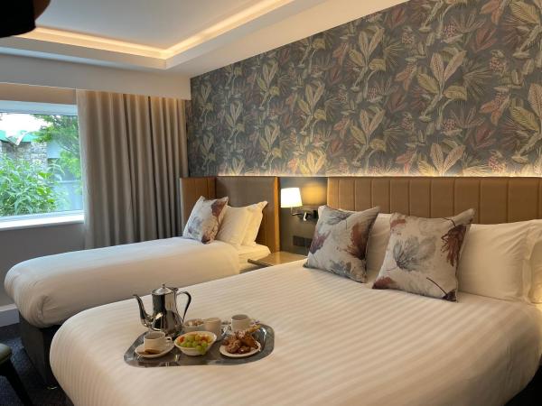 Hotel Kilkenny : photo 4 de la chambre chambre double et simple signature
