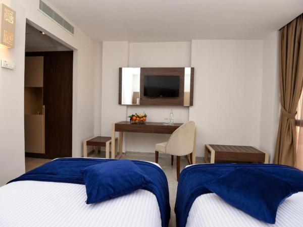 Hôtel Lescure Business and SPA : photo 3 de la chambre chambre lits jumeaux