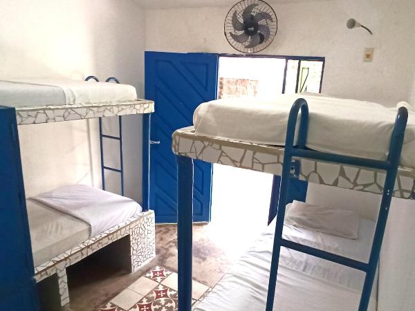 Hostel Republika : photo 4 de la chambre lit simple dans dortoir pour femmes