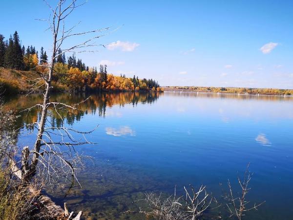 A-Home by chinook mall and Heritage park : photo 3 de la chambre villa 4 chambres