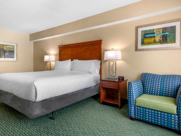 Holiday Inn Resort Orlando - Lake Buena Vista, an IHG Hotel : photo 4 de la chambre chambre lit king-size standard avec douche accessible en fauteuil roulant - adaptée aux personnes à mobilité réduite/malentendantes 