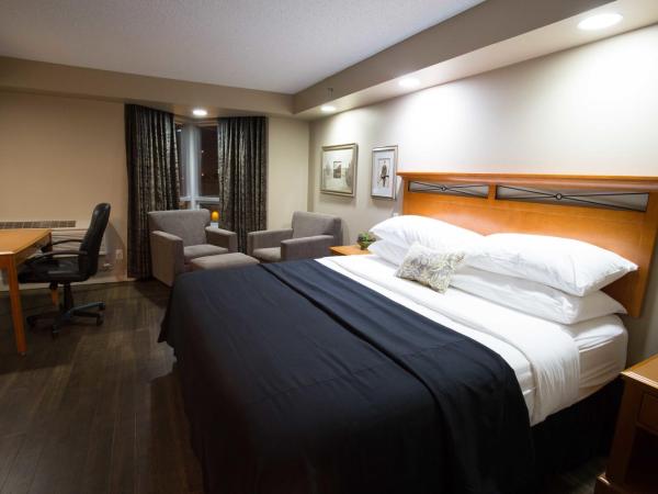 Royal Hotel West Edmonton, Trademark Collection by Wyndham : photo 4 de la chambre chambre lit king-size deluxe - non-fumeurs 