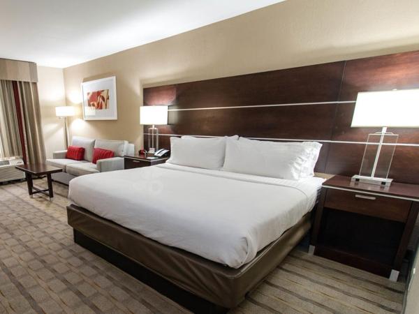 Holiday Inn Charlotte Airport, an IHG Hotel : photo 4 de la chambre chambre lit king-size avec canapé-lit - non-fumeurs