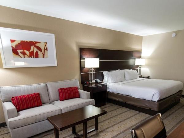 Holiday Inn Charlotte Airport, an IHG Hotel : photo 3 de la chambre chambre lit king-size avec canapé-lit - non-fumeurs