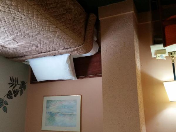 A Voyageur's Guest House : photo 8 de la chambre chambre double avec salle de bains commune