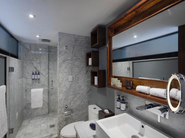 Las Suites Campos Eliseos : photo 8 de la chambre suite 2 chambres