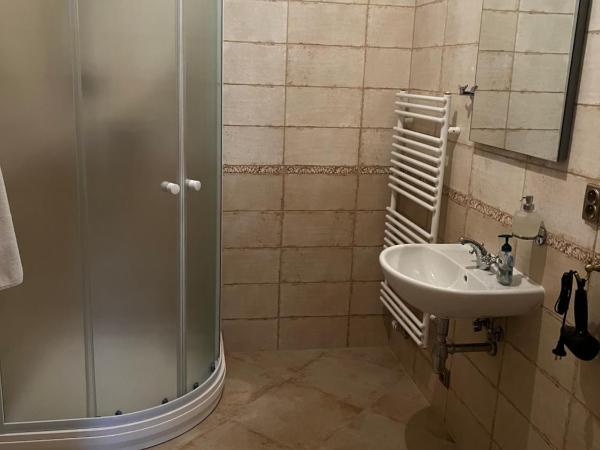 Château Rychvald : photo 5 de la chambre chambre simple standard