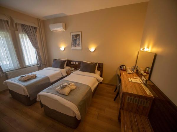 Herakles Thermal Hotel : photo 2 de la chambre chambre double ou lits jumeaux standard