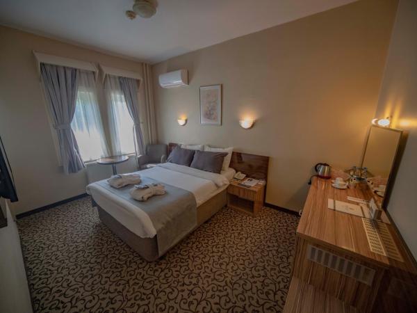 Herakles Thermal Hotel : photo 4 de la chambre chambre double ou lits jumeaux standard