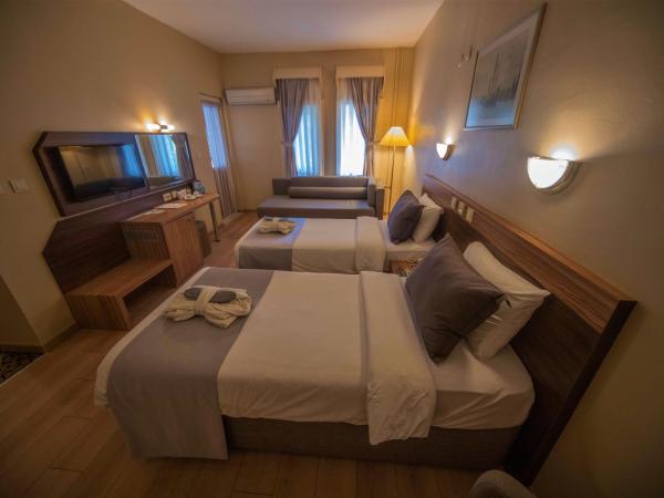 Herakles Thermal Hotel : photo 4 de la chambre chambre triple confort