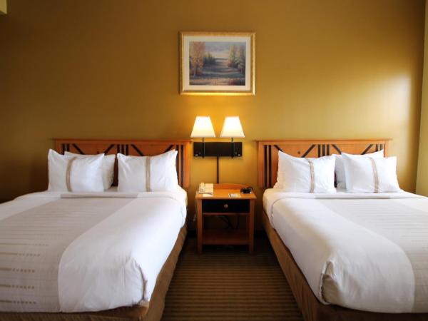 The Crockett Hotel : photo 4 de la chambre chambre double ou lits jumeaux - vue sur ville